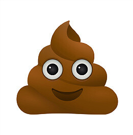 poop icon